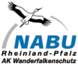 NABU Rheinland-Pfalz – AK Wanderfalkenschutz